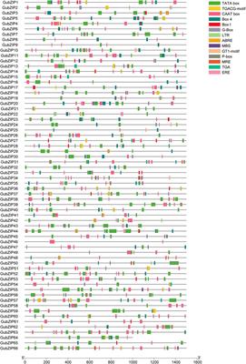 Genome-Wide Characterization and Expression Analysis of bZIP Gene Family Under Abiotic Stress in Glycyrrhiza uralensis